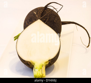 Radis d'hiver Photo noire sur un arrière-plan lumineux . Banque D'Images