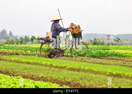 Un jardinier vietnamien marchant son vélo sur un chemin au-dessus des jardins de type allotissement à côté de la route principale de la baie d'Halong à Hanoi, au nord du Vietnam Banque D'Images