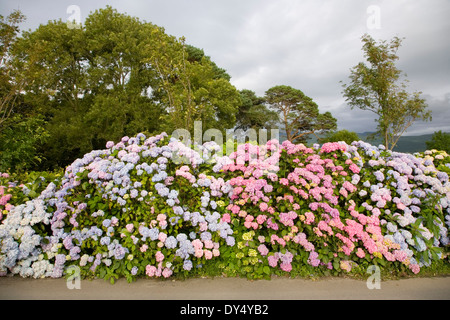 Portmeirion resort village avec jardins et bois d'ornement. Portmeirion, près de Bangor, au nord du Pays de Galles, Royaume-Uni Banque D'Images