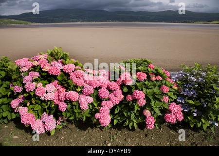 Portmeirion resort village avec jardins ornementaux et de l'estuaire. Portmeirion, près de Bangor, au nord du Pays de Galles, Royaume-Uni Banque D'Images