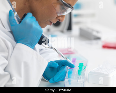 Female scientist pipetting DNA des échantillons pour essai Banque D'Images