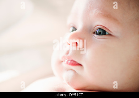 Close up of alert baby boy Banque D'Images