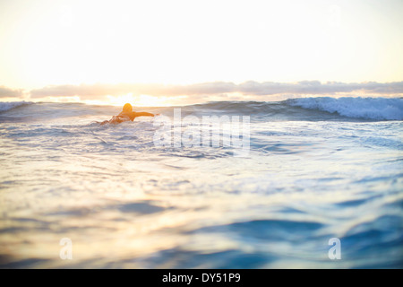 Une femelle à surfer sur les vagues de surf, Sydney, Australie Banque D'Images