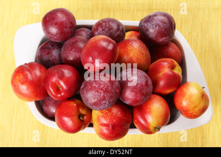 Les nectarines et les prunes dans un plat de céramique. Banque D'Images