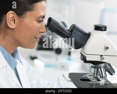 Female scientist viewing diapositive échantillon pour essai clinique in laboratory Banque D'Images