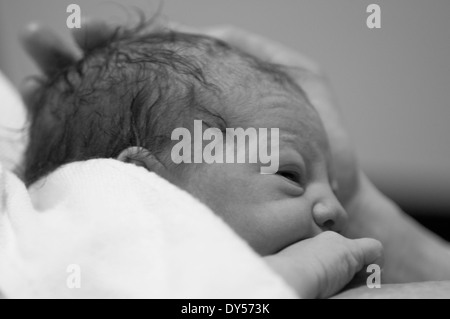 Photo En Noir Et Blanc De Naissance Bebe Fille Enveloppe Dans Une Couverture Etant Detenu Par Maman Photo Stock Alamy