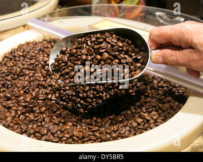Des grains de café frais dans le bac en libre-service, USA Banque D'Images