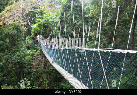 Canopy Walkway. Le parc national de Taman Negara. La Malaisie Banque D'Images