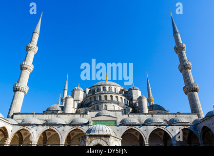 Mosquée Bleue (Sultanahmet Camii) à partir de la Cour, Sultanahmet, Istanbul, Turquie Banque D'Images