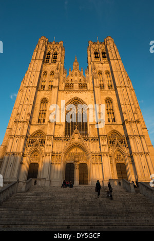 Cathédrale Saint-Michel et Sainte-Gudule Bruxelles Belgique | BRUXELLES, Belgique — Les visiteurs se reposent et marchent sur le large escalier de pierre devant la façade ouest imposante de la cathédrale Saint-Michel et Sainte-Gudule, ses portails sculptés et ses vitraux illuminés d’ambre par le soleil couchant. Douze statues baroques grandeur nature des apôtres, ajoutées au XVIIe siècle après la destruction des figures médiévales d’origine lors de l’iconoclasme de 1566, sont alignées le long des colonnes de la nef à l’intérieur. Le calcaire doux et pâle de la cathédrale a nécessité des restaurations répétées depuis le XIXe siècle. Banque D'Images
