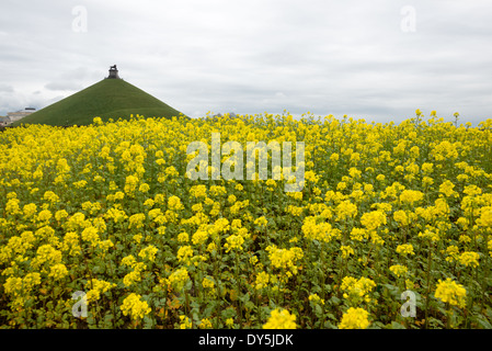 WATERLOO, Belgique — des fleurs sauvages jaunes fleurissent dans les champs préservés du champ de bataille historique de Waterloo, avec la butte du Lion en arrière-plan. La colline artificielle, surmontée de son emblématique statue de lion en fonte, marque l'endroit où le prince d'Orange a été blessé lors de la bataille de Waterloo. Le paysage pastoral conserve une grande partie de son caractère historique de la célèbre bataille du 18 juin 1815. Banque D'Images