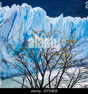 Le Glacier Perito Moreno est un glacier situé dans le Parc National Los Glaciares, dans le sud-ouest de la province de Santa Cruz, en Argentine. Banque D'Images