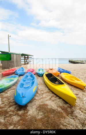 Kayaks alignés sur la plage. Banque D'Images