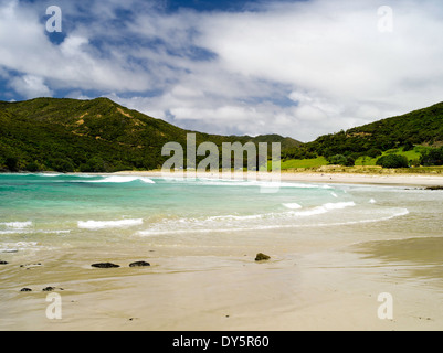 Scène de Tapotupotu Bay, Northland, Nouvelle-Zélande, île du Nord sur une chaude journée d'été, de vent. Banque D'Images