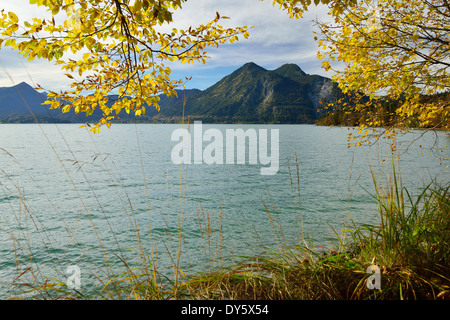 Le lac de Walchensee en automne, contreforts bavarois, Haute-Bavière, Bavière, Allemagne Banque D'Images