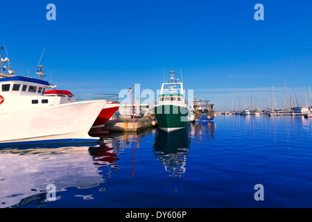 Port Denia fisherboats et marina en Alicante province Espagne Banque D'Images