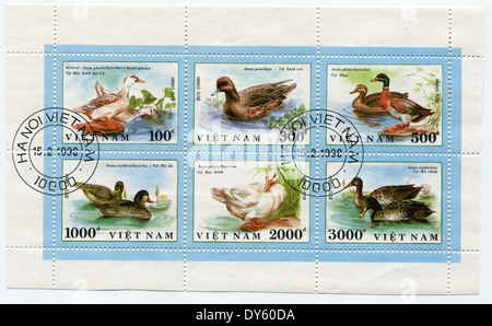 VIETNAM - circa 1990 : timbre imprimé au Vietnam et montre un canards, circa 1990 Banque D'Images
