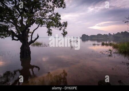 Retour des pêcheurs au crépuscule, Polonnaruwa Lake, Polonnaruwa, Sri Lanka, Asie Banque D'Images