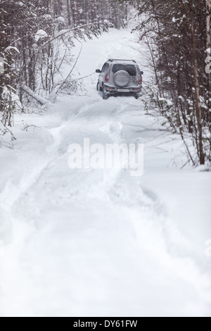 Voyage à la forêt sempervirente dans la neige profonde à l'hiver Banque D'Images