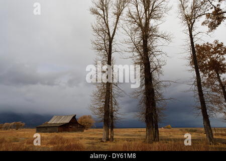 L'automne (automne) approches tempête, Mormon Row barn, Antelope Flats, Grand Teton National Park, Wyoming, USA Banque D'Images