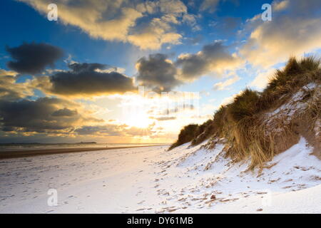 Homme marche chien sur plage de Bamburgh couvertes de neige à l'aube avec vue sur Iles Farne, Northumberland, England Banque D'Images