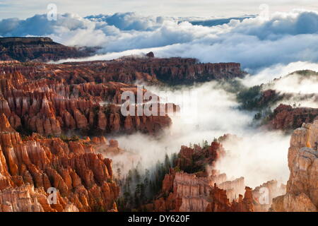 Des pinacles et des cheminées avec du brouillard s'étendant dans les nuages d'une inversion de température partielle, Bryce Canyon National Park, Utah, USA Banque D'Images