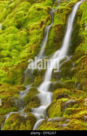 Cours d'eau par moss, l'Islande, les régions polaires Banque D'Images