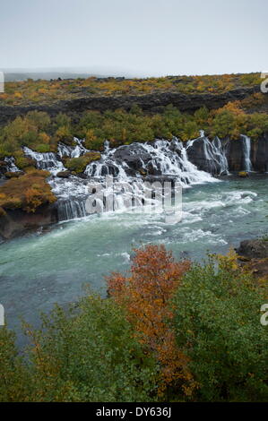 Barnafoss, ressorts et Children's Falls, l'Islande, les régions polaires Banque D'Images