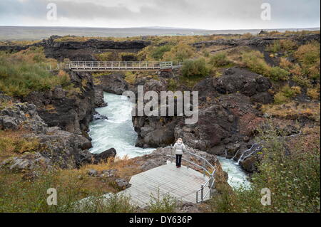 Barnafoss, ressorts et Children's Falls, l'Islande, les régions polaires Banque D'Images