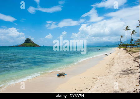 Kualoa Beach, Oahu, Hawaii, United States of America, Pacifique Banque D'Images