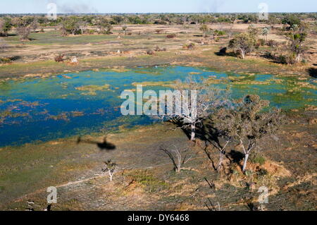 Vue aérienne de Delta de l'Okavango, Botswana, Africa Banque D'Images