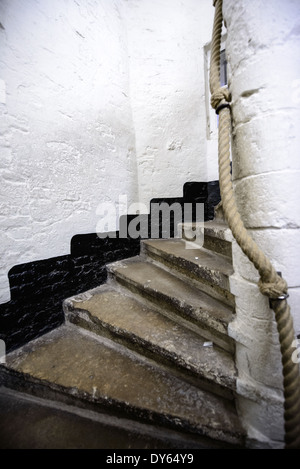 BRUGES, Belgique — Une section de l'escalier médiéval en colimaçon dans le beffroi de Bruges conduit les visiteurs jusqu'à 366 marches jusqu'au niveau d'observation de la tour. Cet escalier historique, qui fait partie de la construction originale du XIIIe siècle, illustre l'ingénierie architecturale médiévale. Les marches en pierre sinueuses ont servi de voie d'accès principale aux niveaux supérieurs de la tour pendant des siècles. Banque D'Images