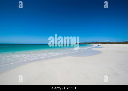 Plage de sable blanc et eaux turquoise, Shelley Cove près de Eagle Bay, Australie occidentale, Australie, Pacifique Banque D'Images