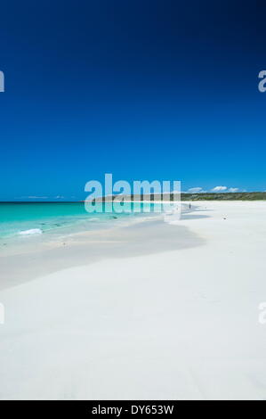 Plage de sable blanc et eaux turquoise, Shelley Cove près de Eagle Bay, Australie occidentale, Australie, Pacifique Banque D'Images