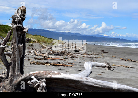 Driftwood sur Hokitika Beach Banque D'Images