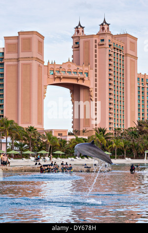 Atlantis Resort & Casino Dolphin Cay Paradise Island Nassau, Bahamas. Banque D'Images