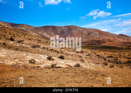 Fleur plante bush dans timanfaya los Volcanes ciel pierre roche volcanique hill et été lanzarote Banque D'Images