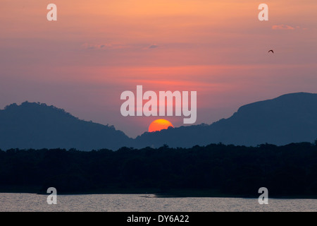 Coucher de soleil sur le réservoir à Kandalama Dambulla, Sri Lanka 7 Banque D'Images