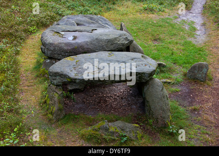 Sept Maisons en pierre / Sieben Steinhäuser, dolmen néolithique à Bergen, de landes de Lunebourg / Lunenburg, Saxe, Allemagne Banque D'Images