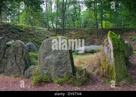 Sept Maisons en pierre / Sieben Steinhäuser, dolmens néolithiques à Bergen, de landes de Lunebourg / Lunenburg, Saxe, Allemagne Banque D'Images