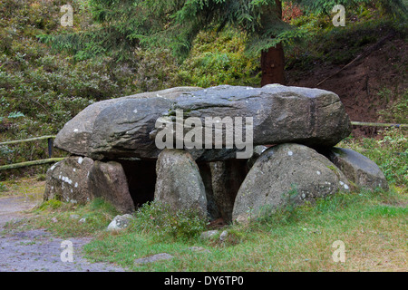 Sept Maisons en pierre / Sieben Steinhäuser, dolmens néolithiques à Bergen, de landes de Lunebourg / Lunenburg, Saxe, Allemagne Banque D'Images