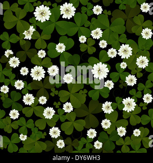 Les feuilles de trèfle sans couture et de fleurs sur fond noir à Patrick Banque D'Images