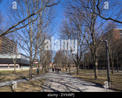 L'Université d'Oslo en Norvège, campus principal à Blindern avec des bâtiments d'âges différents, sentier bordé d'arbres Banque D'Images