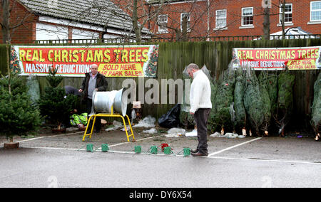 S'il commence à regarder un peu comme... Noël fête don t ?acheteurs semblent être rebutés par un signe réel de la publicité mal orthographié Noël Arbres à Welwyn Garden City en Angleterre. La typo drôles a été suspendu dans un parking du supermarché - directement à côté d'une Banque D'Images