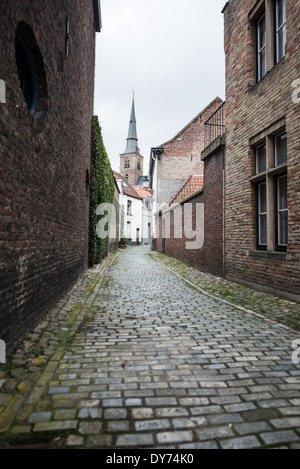 BRUGES, Belgique — Une rue pavée calme serpente dans un quartier résidentiel du centre historique de Bruges. Les rues médiévales préservées et l'architecture traditionnelle témoignent du caractère authentique des quartiers résidentiels de la ville. Ce paysage de rue intime montre comment les infrastructures historiques continuent de servir la vie résidentielle moderne. Banque D'Images