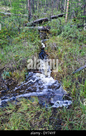 Paysage d'été de l'eau entourant la rivière Suntar dans les hautes terres d'Oymyakon, Yakoutie, Russie. Banque D'Images