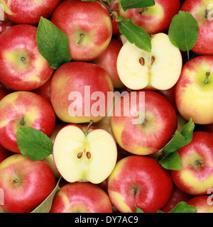 Collection de pommes rouges avec leurs feuilles formant un arrière-plan Banque D'Images