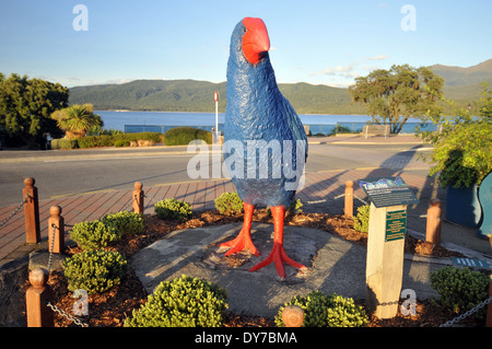 Statue d'une talève sultane ou Pukeko, les populations d'oiseaux de la Nouvelle Zélande, dans les rues de Te Anau, île du Sud, Nouvelle-Zélande Banque D'Images