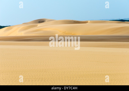 Dunes de sable, le Parc National de Medanos de Coro, près de Coro, Falcon State, Venezuela Banque D'Images