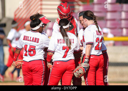 Houston, Texas, USA. 8Th apr 2014. 08 avril 2014 : La Cougar de Houston se réunit à l'infield pitcher's circle pendant la match NCAA entre Houston et stade de softball de Cougar Baylor à Houston, TX. © csm/Alamy Live News Banque D'Images